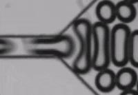 Image Shows How Bubbles Generate in a Microfluidic Device