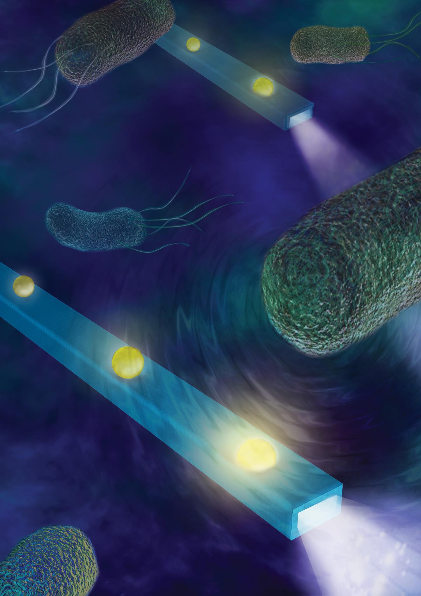 Nano Fiber Feels Forces and Hears Sounds Made by Cells