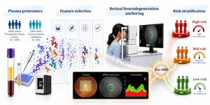 Proteins in blood could help doctors predict retinal degeneration in diabetics