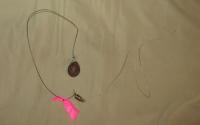 Transmitter Attached to Seeds to Track Dispersal