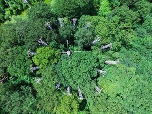 Aerial view of BIFoR FACE facility