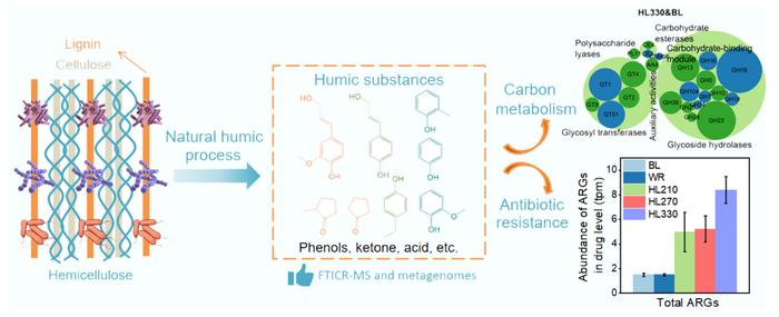 Lignocellulose-derived natural humic substances modulate carbon metabolism and antibiotic resistance