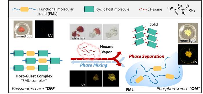 Vapor-controlled reversible binding between host–guest molecules