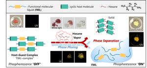 Vapor-controlled reversible binding between host–guest molecules