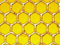 Mannhart JRSE (3 of 3)