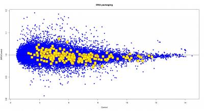 Gene Expression in Bronchopulmonary Dysplasia