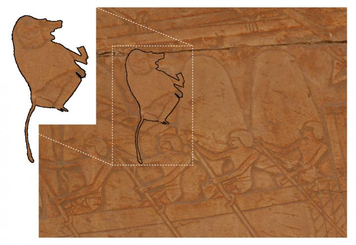 Detail of reliefs from the walls of Queen Hatshepsut's mortuary temple, Deir el-Bahri