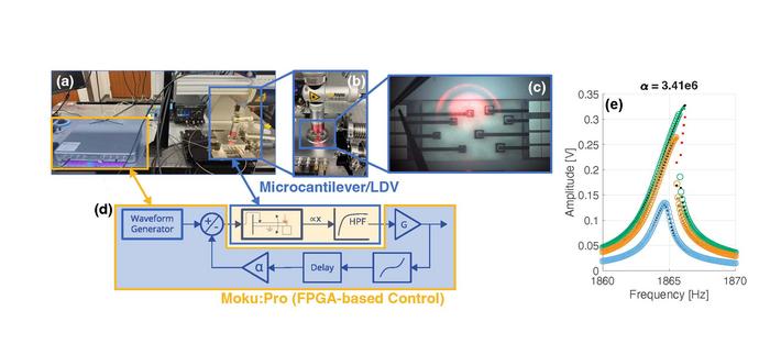 Experimental Setup