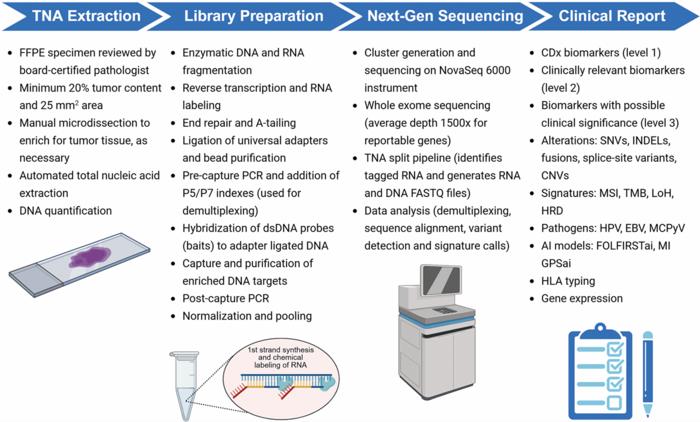 Clinical and analytical validation of MI Cancer Seek®, a companion diagnostic whole exome and whole transcriptome sequencing-based comprehensive molecular profiling assay