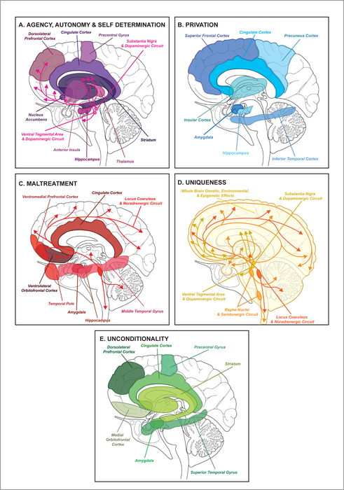Neural facets of human dignity
