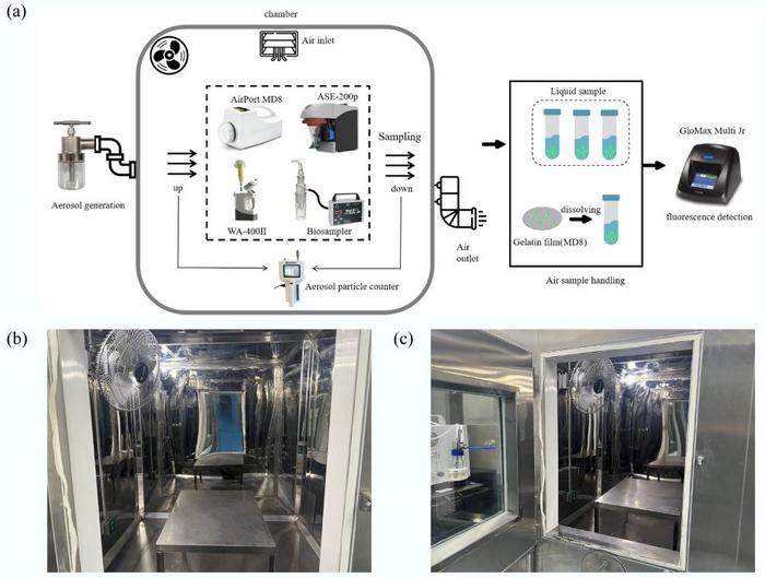Figure 1. Flow chart of the study and structural configuration of the environmental chamber.