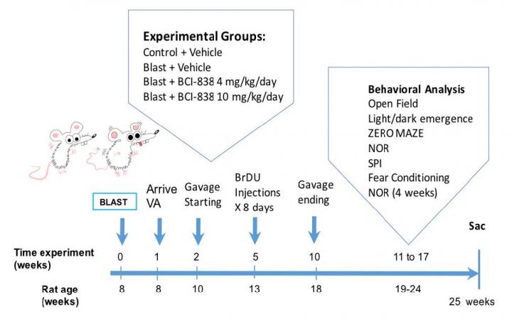 Experimental Design