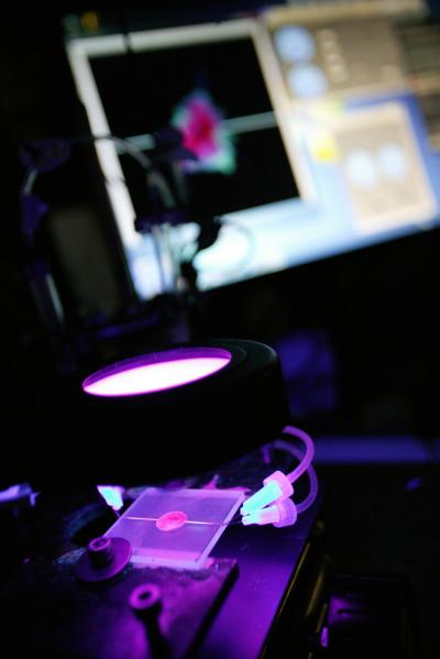 Healing Polymer Materials from the Inside Out (11 of 15)