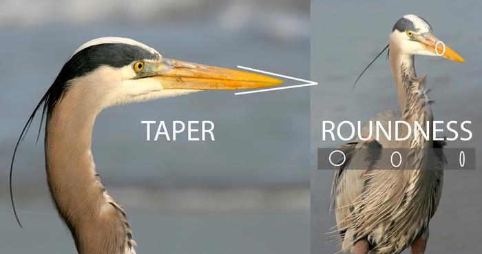 Taper and Roundness