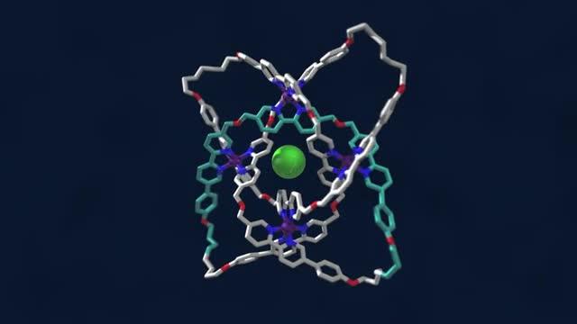 A Fly-Around Video of the Molecular Knot