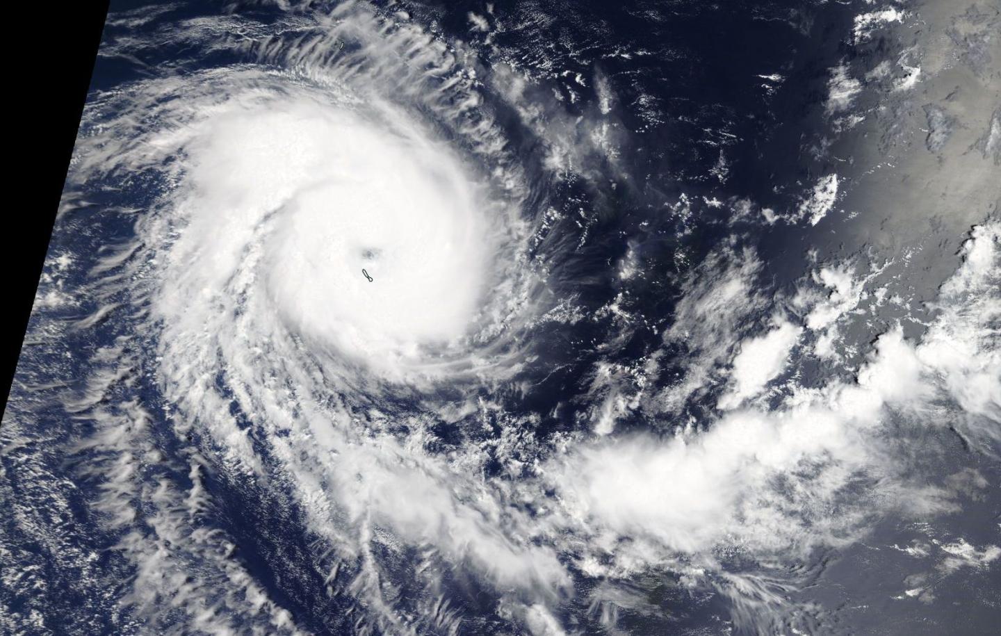 Terra Image of Alcide
