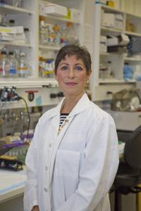 Mary R. Loeken, Joslin Diabetes Center