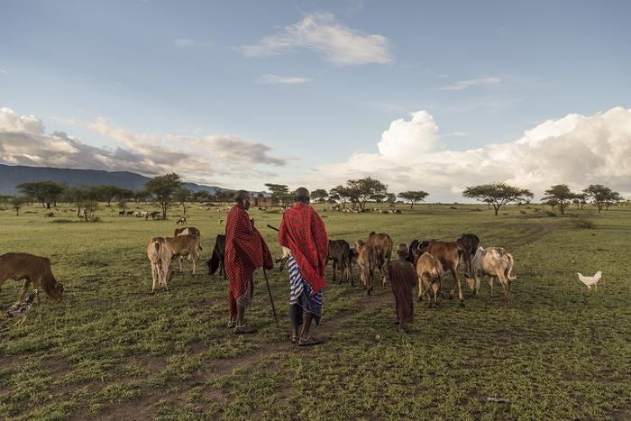 Strengthening environmental stewardship practices to improve biodiversity protection worldwide