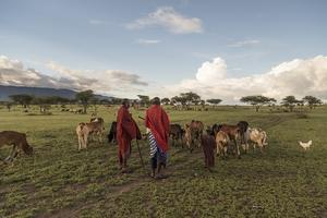Strengthening environmental stewardship practices to improve biodiversity protection worldwide