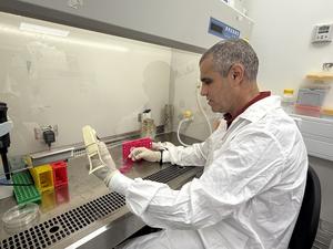 Prof. Tal Dvir