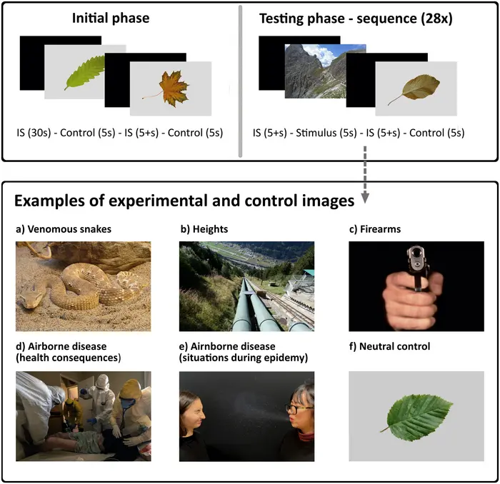 Subjective and psychophysiological response to pictures of ancestral and modern threats: Not all evolutionary threats are alike