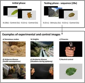 Subjective and psychophysiological response to pictures of ancestral and modern threats: Not all evolutionary threats are alike