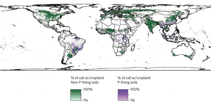 Global Growing