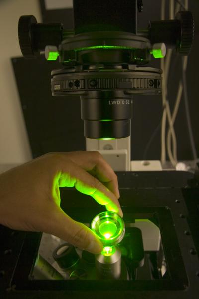 Groves DNA Microarray Web Version