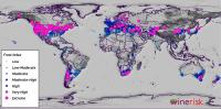 Winemakers Lose Billions of Dollars Every Year due to Natural Disasters (2 of 3)