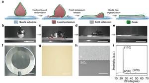 Figure II | The SOC fabrication process of the high-quality potassium metal film.