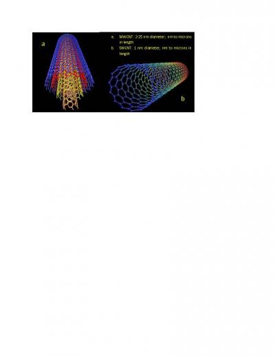Carbon Nanotubes