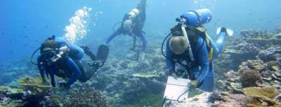 Line Islands Expedition Researchers