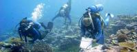 Line Islands Expedition Researchers