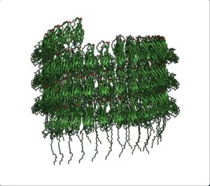 Cannulae model detail