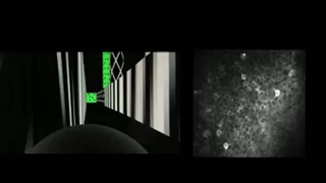 Dendritic activity important to memory