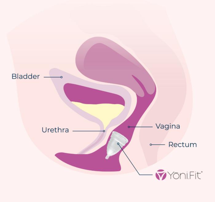 How YoniFit Works