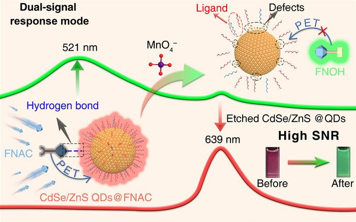 A dual-signal response quantum dots/molecule self-assembled system for high-SNR KMnO4 detection