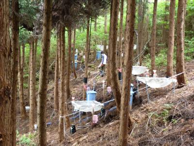 Fukushima Fieldwork