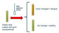 A New Plastic Strip for the Diagnosis of Dengue