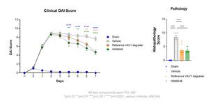 ISM9546 shows rapid onset of action and robust disease-activity reduction in acute colitis model