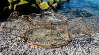 Lingcod Trap