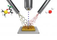 Experimental Setup