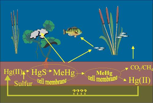 Dartmouth Superfund Mercury Site