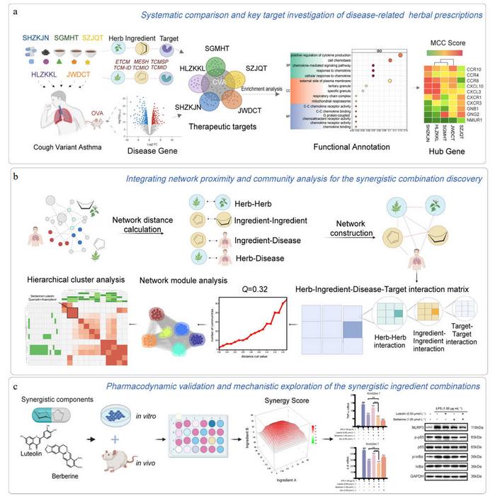 Overview of our network models.