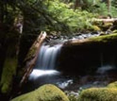 Stream