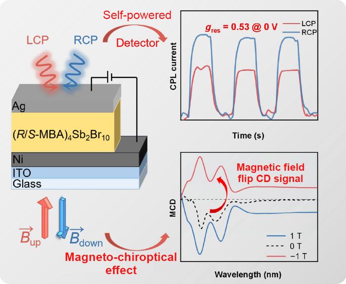 Lead-free chiral antimony halide for circularly polarized light detection