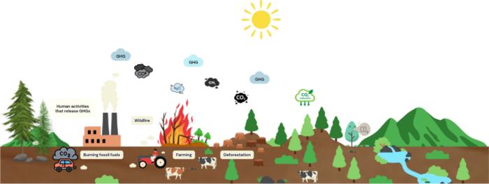 Quantifying global warming potential variations from greenhouse gas emission sources in forest ecosystems