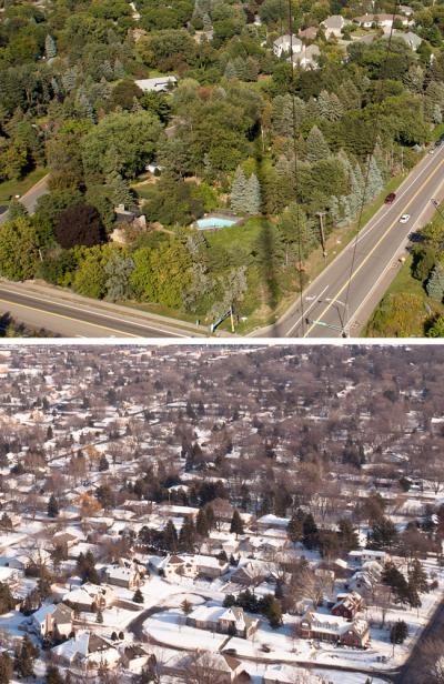 Vegetation in Summer and Winter of Suburban Minneapolis Landscapes