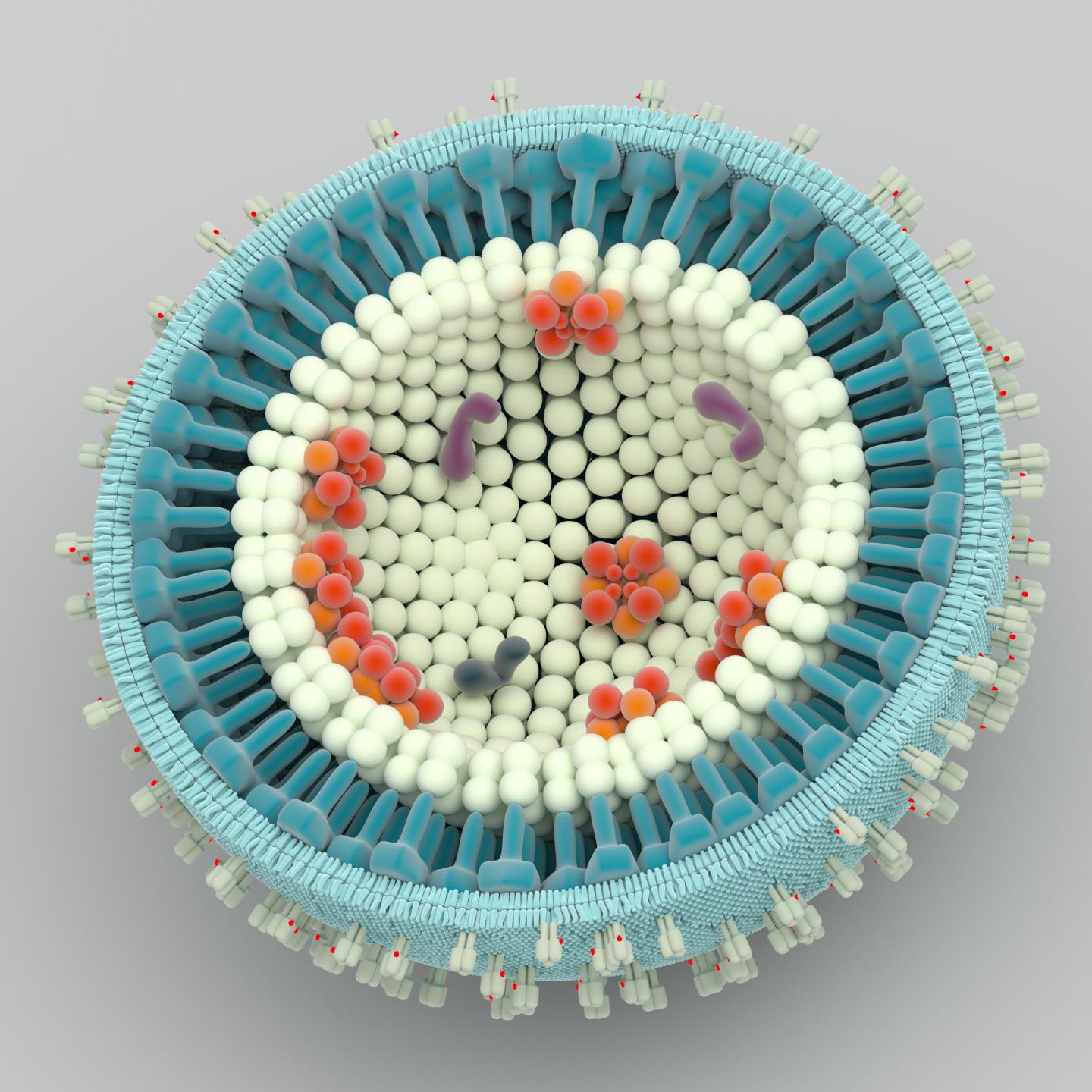 Virotrap