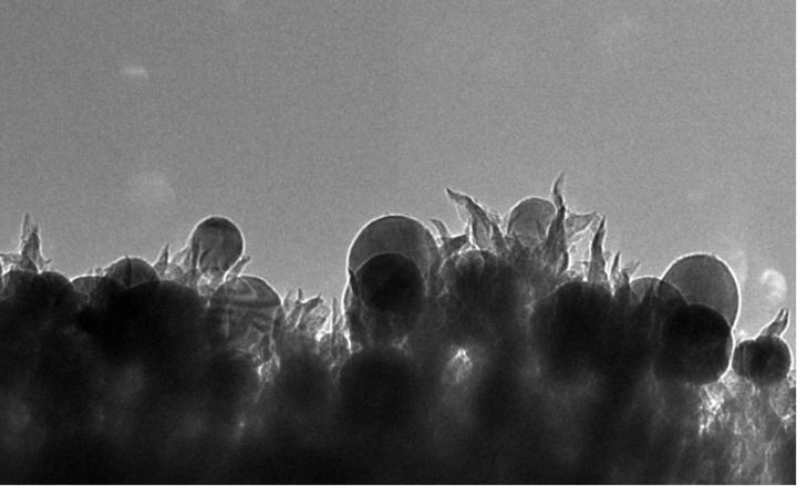 ReactWell Licenses ORNL Catalyst for Energy Conversion Applications (2 of 3)